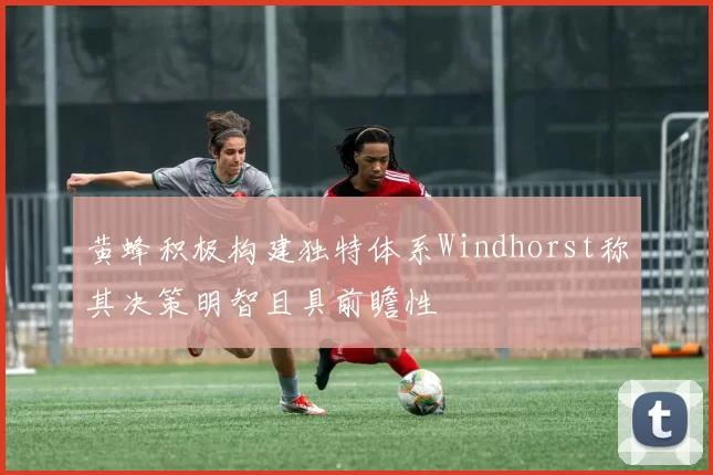 黄蜂积极构建独特体系Windhorst称其决策明智且具前瞻性