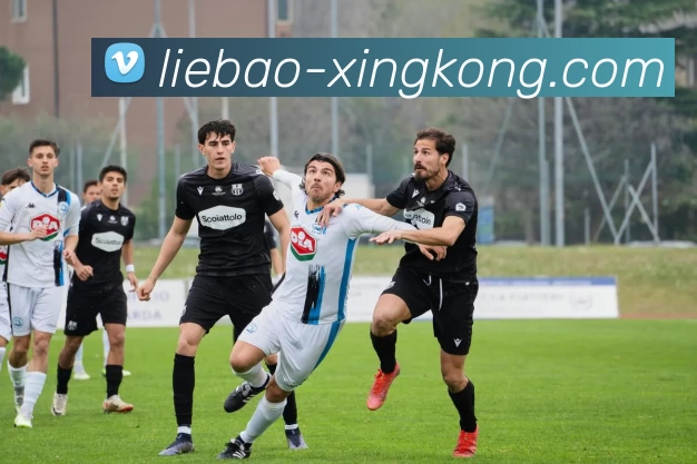 星空体育服务体系