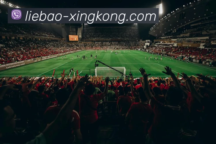 星空体育APP 体育赛事宣传图